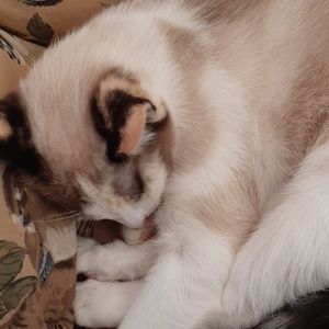 Meet your Posher, Grace